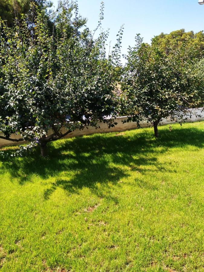 Apartament House Of Silence Trogir Zewnętrze zdjęcie