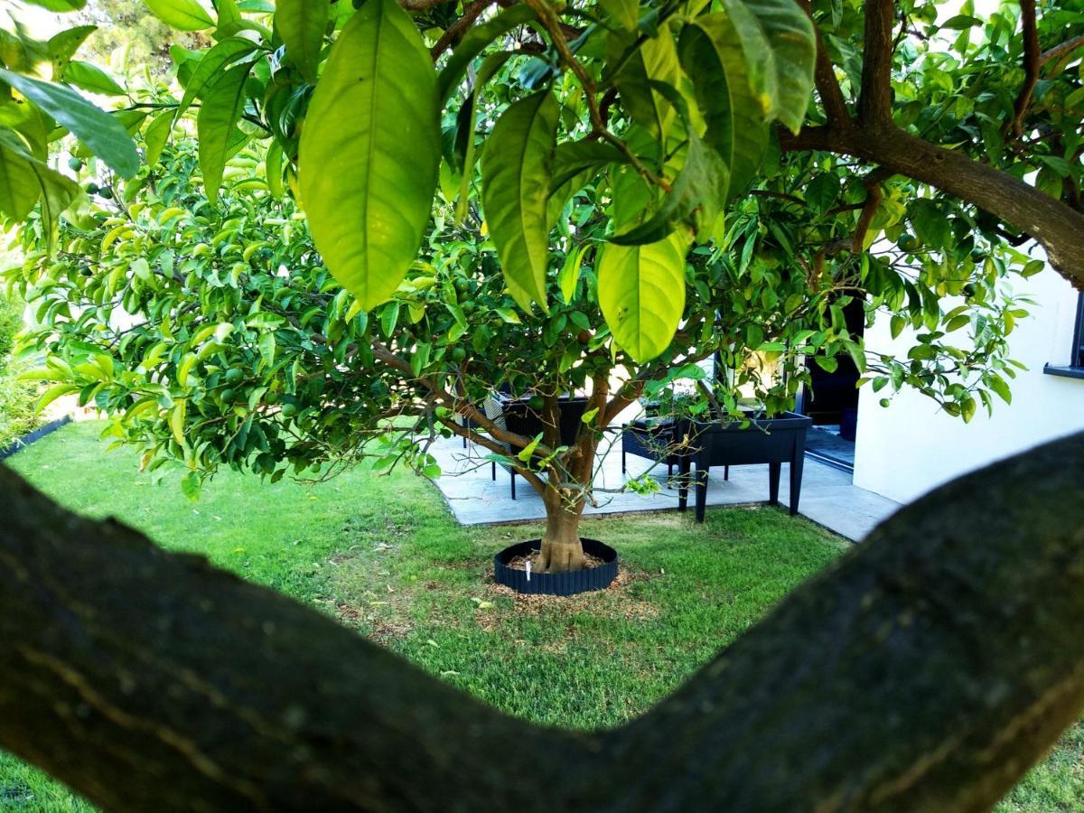 Apartament House Of Silence Trogir Zewnętrze zdjęcie